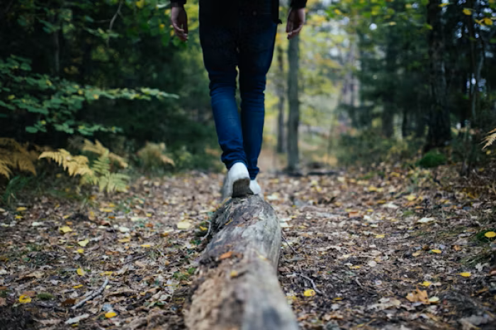 Person walking alone on a log leading the way